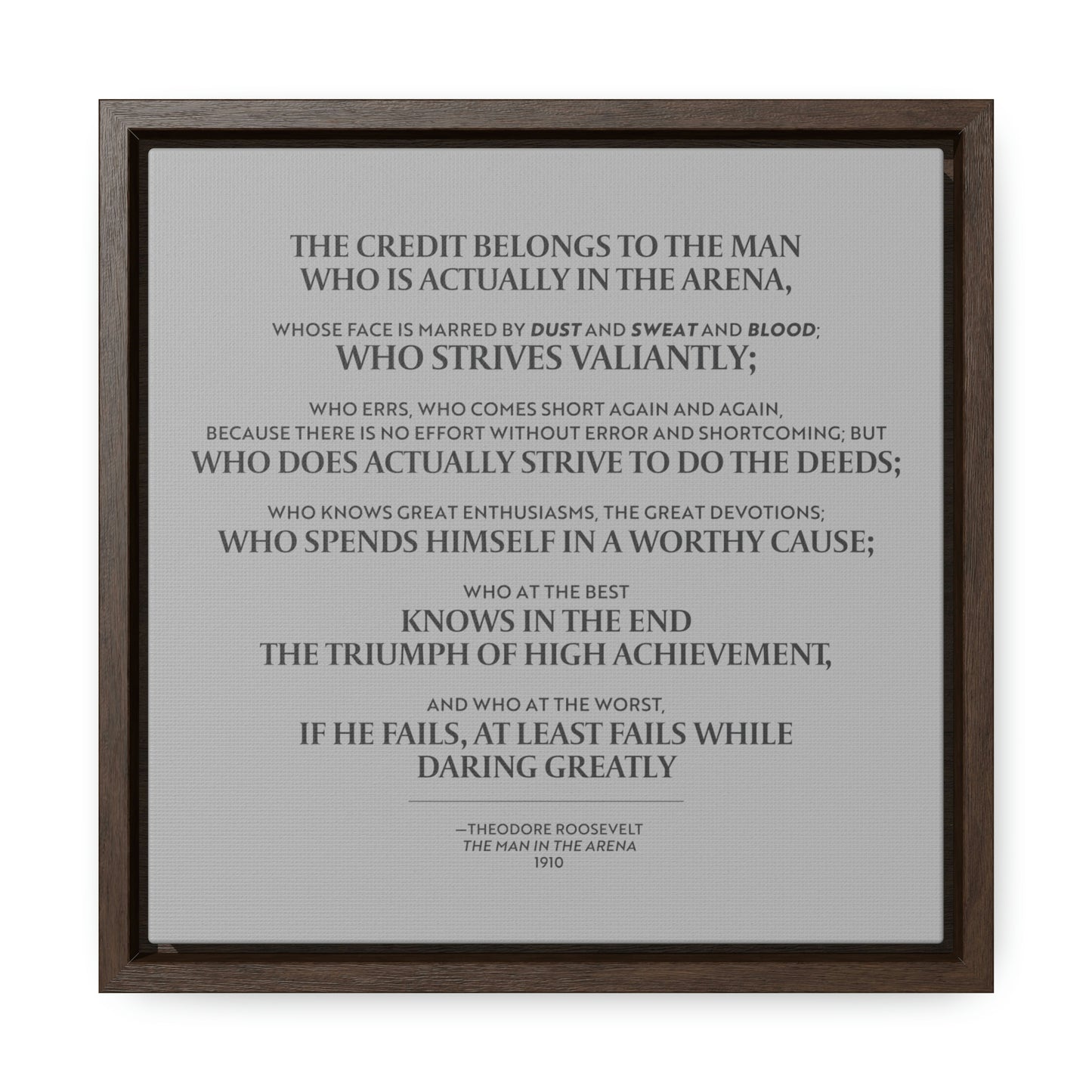 Man in the Arena Gallery Canvas Wraps, Square Frame